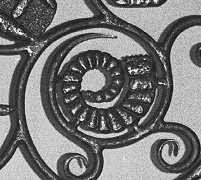 nautiloid shell